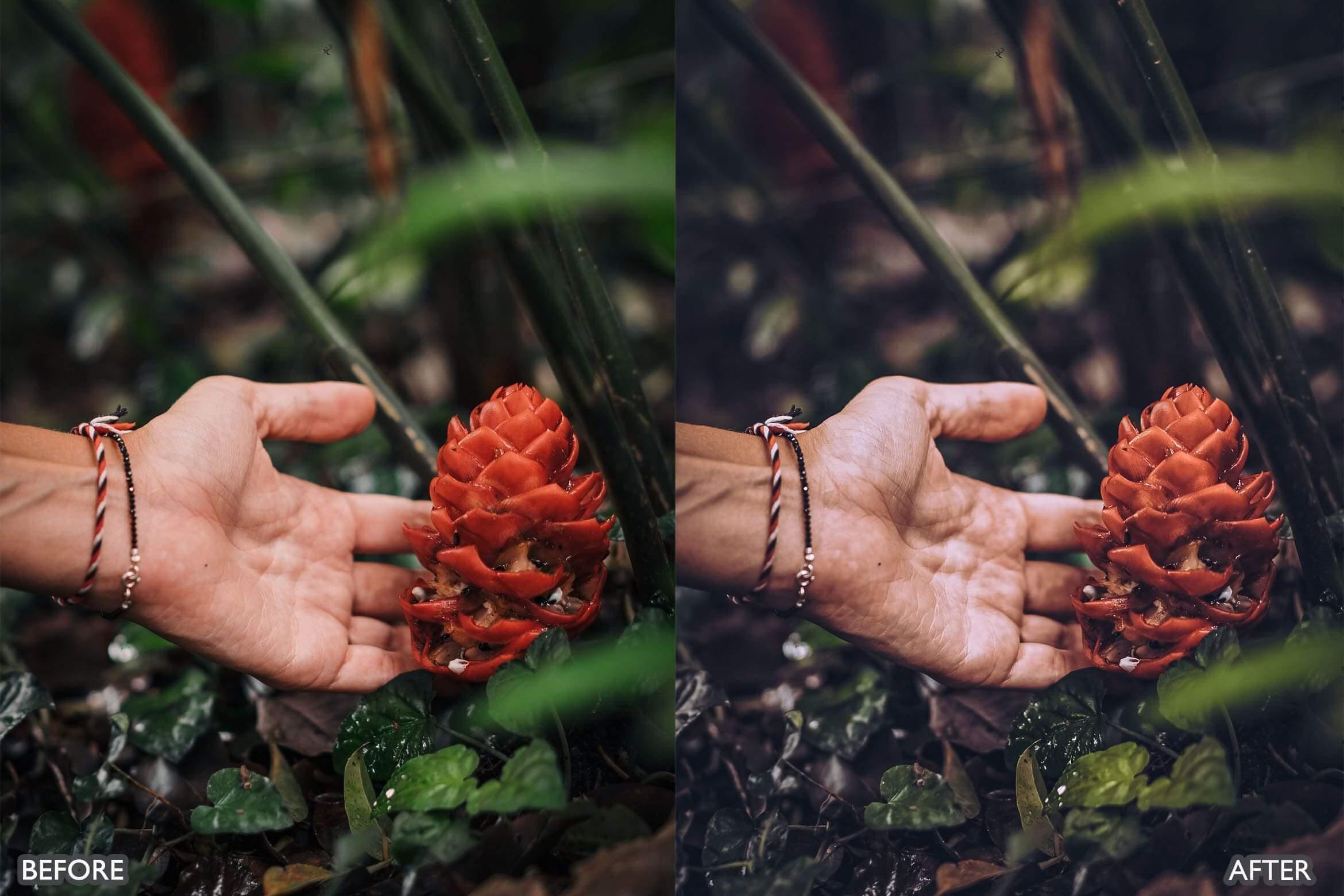 Travel Moody Photo edit Presets - Lightroom Presets - by AAA Presets