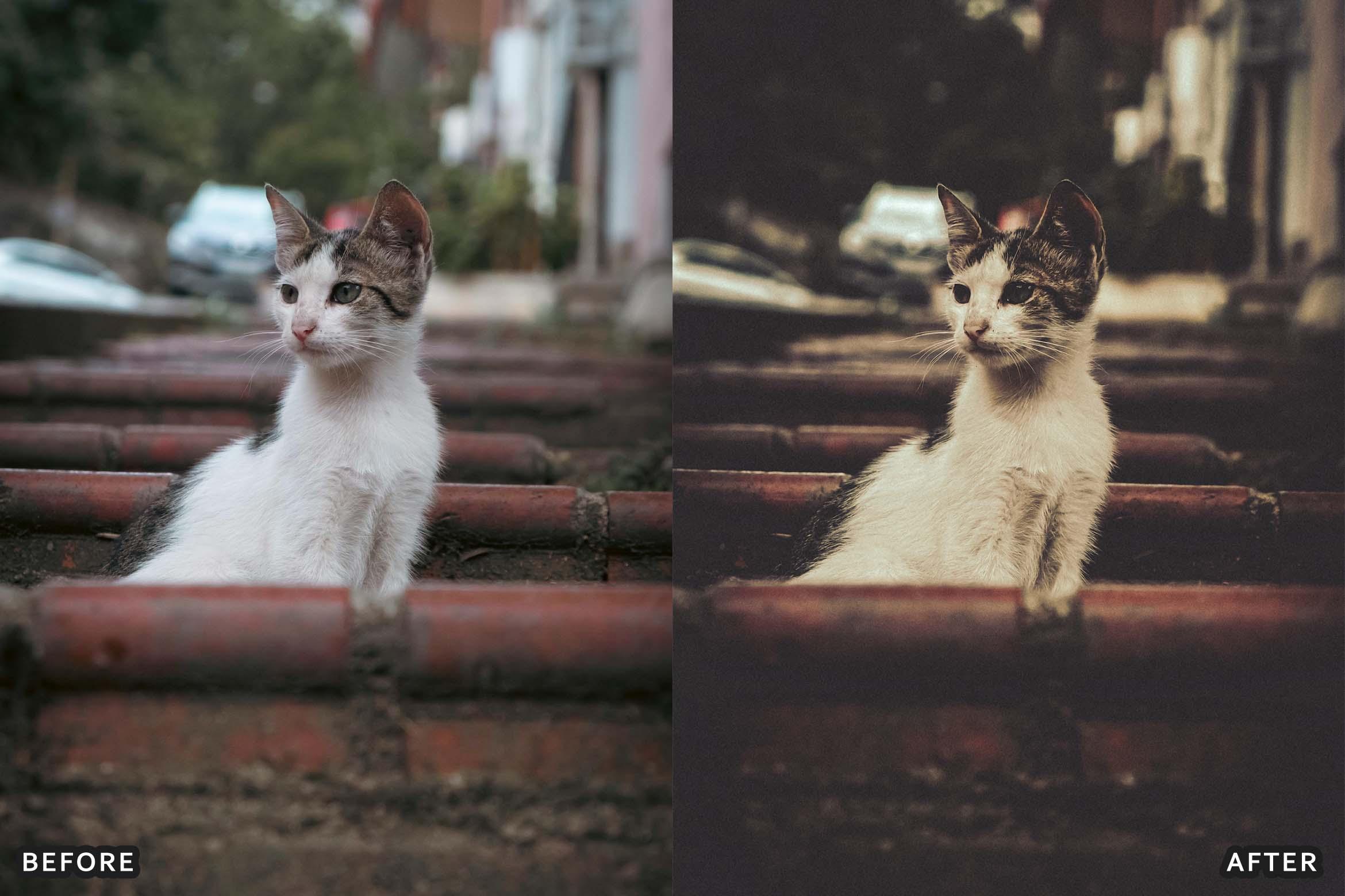 Urban Matte Black Lightroom Presets - Lightroom Presets - by AAA Presets