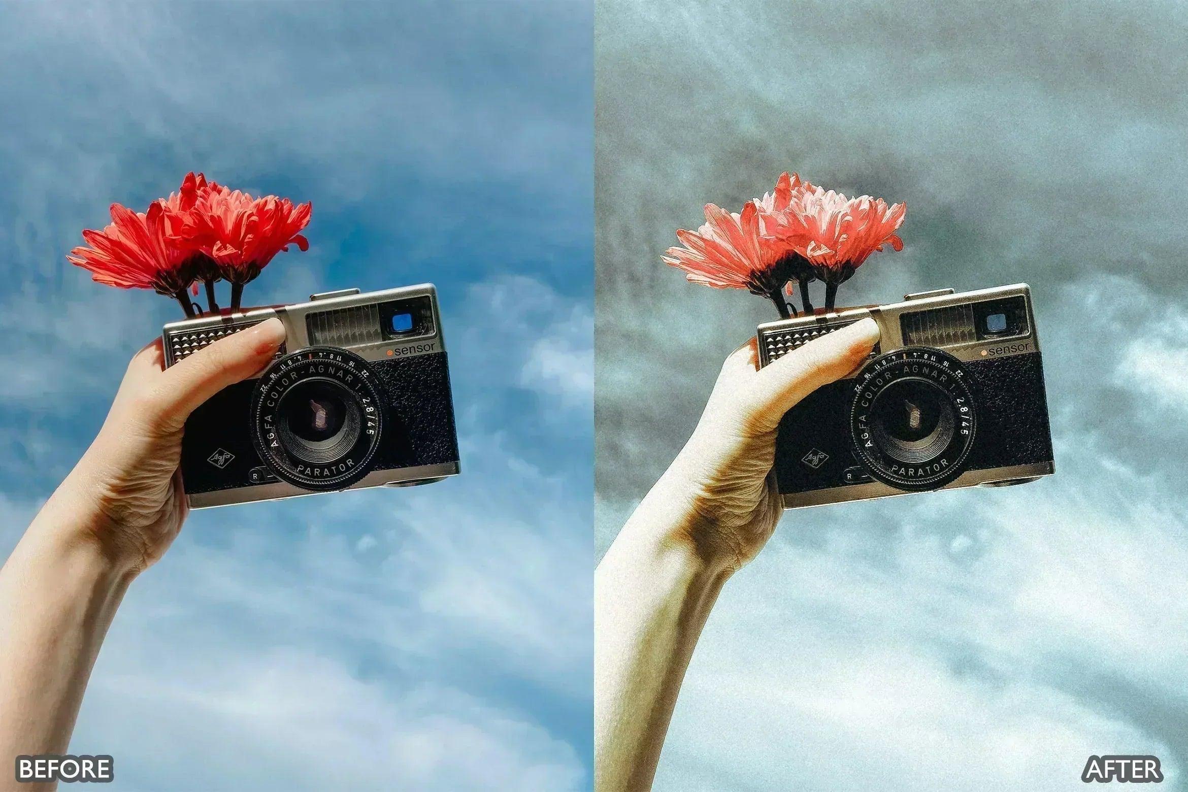 Vintage Film LR Presets & Film Dust - Lightroom Presets - by AAA Presets