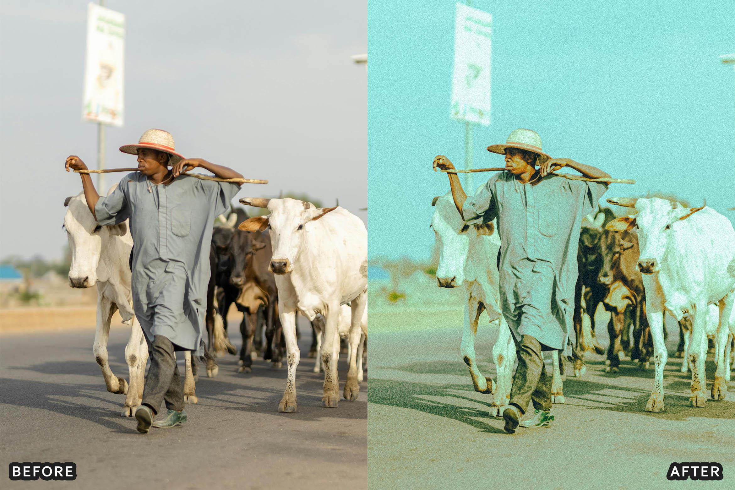 Vintage Kodak Film Look Lightroom Presets For Classic Analog Look - Lightroom Presets - by AAA Presets