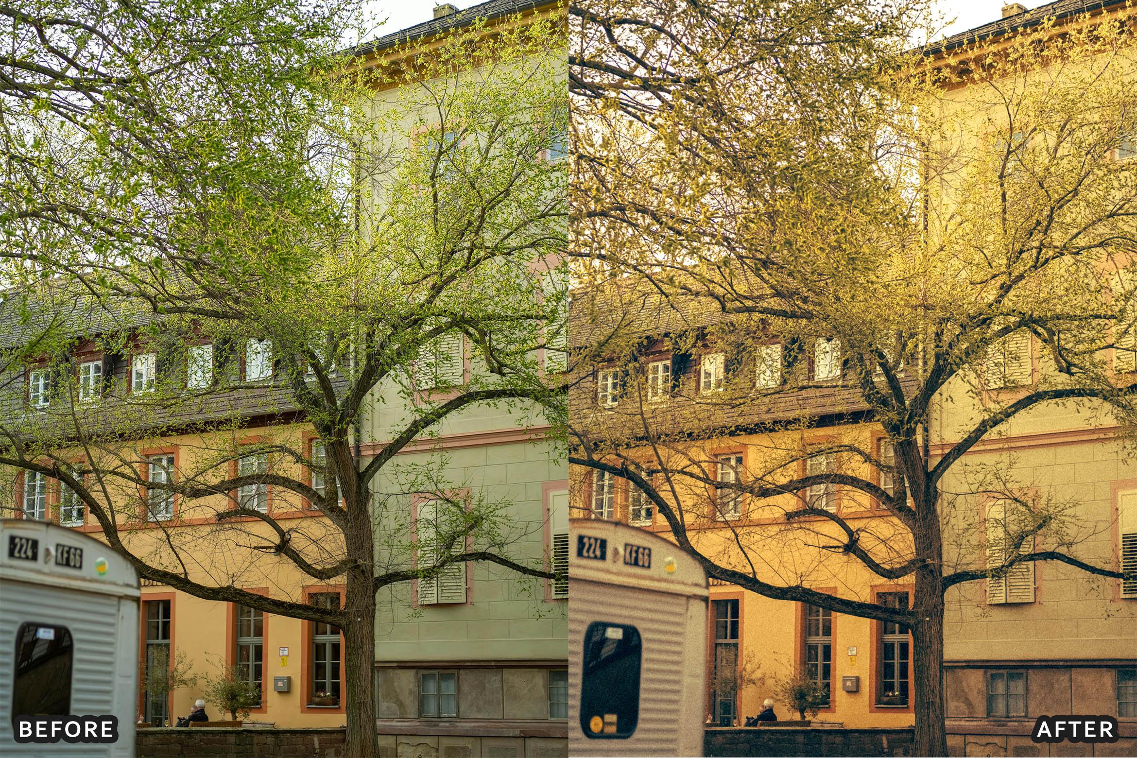 Vintage Retro Kodak Film Look Lightroom Presets - Achieve Classic Film Emulation - Lightroom Presets - by AAA Presets