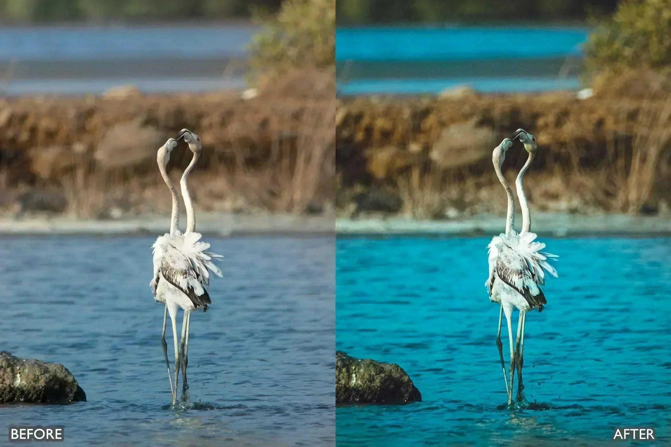 Wildlife Cinematic Lightroom Presets Pack - Lightroom Presets - by AAA Presets