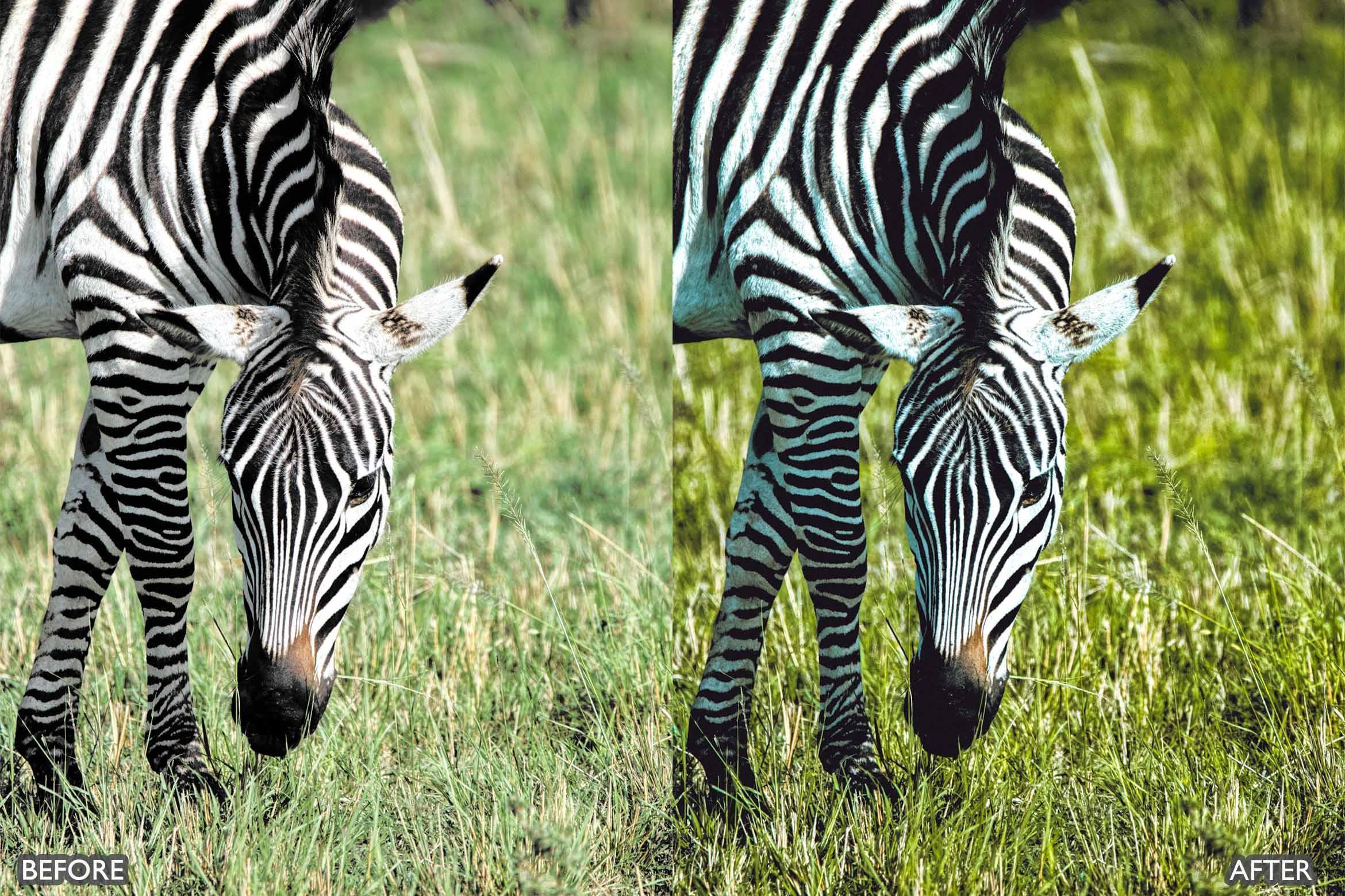 Wildlife Cinematic Lightroom Presets Pack - Lightroom Presets - by AAA Presets