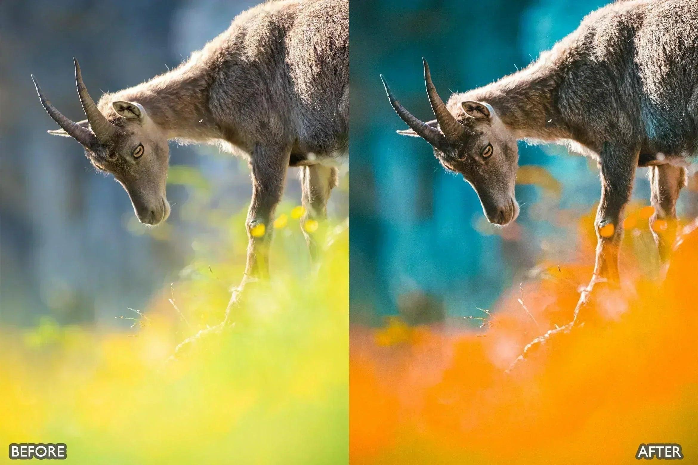 Wildlife Cinematic Lightroom Presets Pack - Lightroom Presets - by AAA Presets