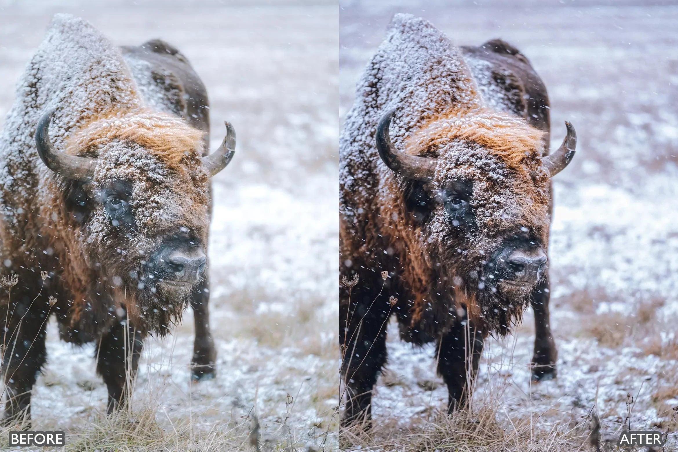 Winter Snow Lightroom Presets - Lightroom Presets - by AAA Presets