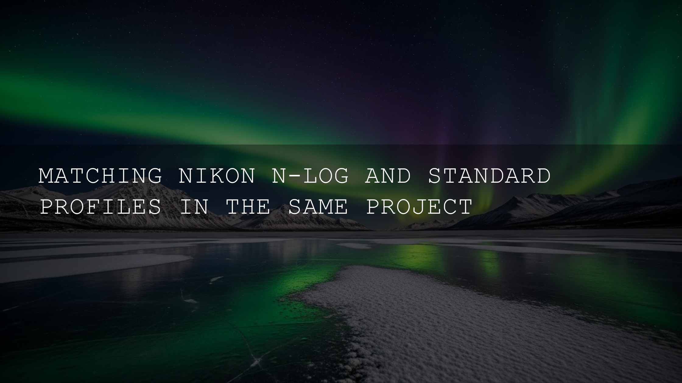 Mastering the Mix: Seamlessly Integrating Nikon N-Log and Standard Profiles in Your Video Projects