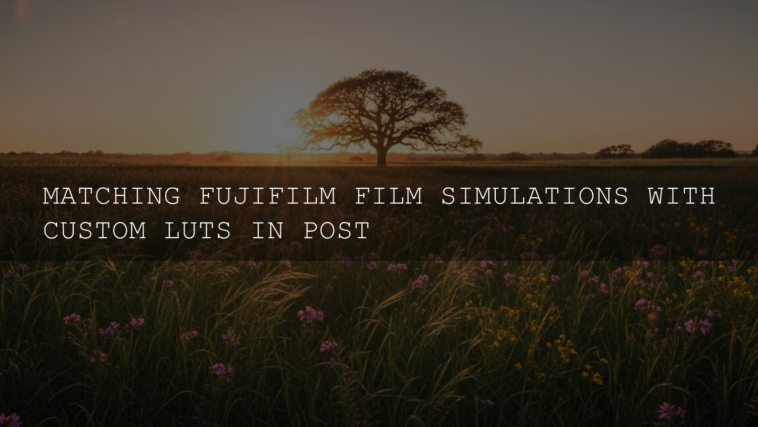 Unlocking Cinematic Gold: Mastering the Fusion of Fujifilm Film Simulations and Custom LUTs - AAA Presets
