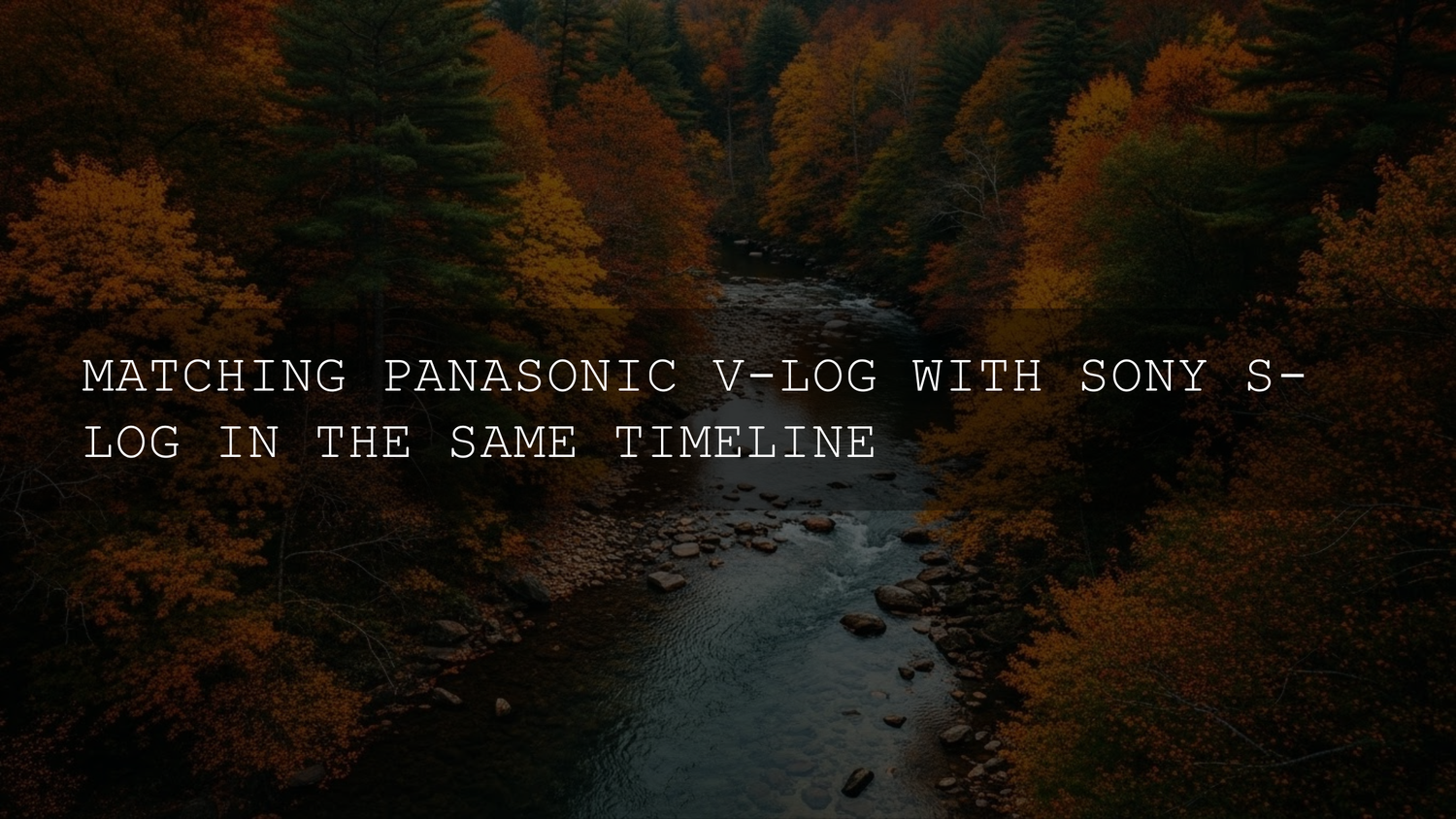 Panasonic V-Log vs. Sony S-Log: Mastering the Match in Your Editing Workflow