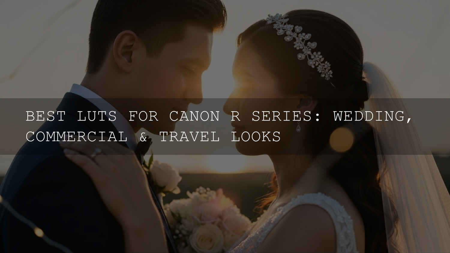 Elevate Your Canon R Series Videos: The Ultimate Guide to LUTs for Wedding, Commercial & Travel Looks - AAA Presets