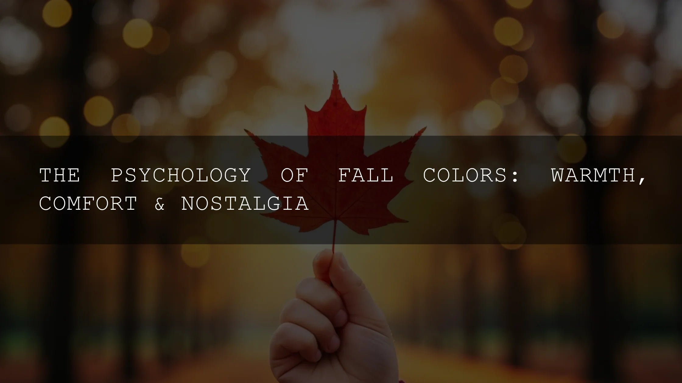 The Psychology of Fall Colors: Unpacking the Warmth, Comfort, and Nostalgia of Autumn's Palette - AAA Presets