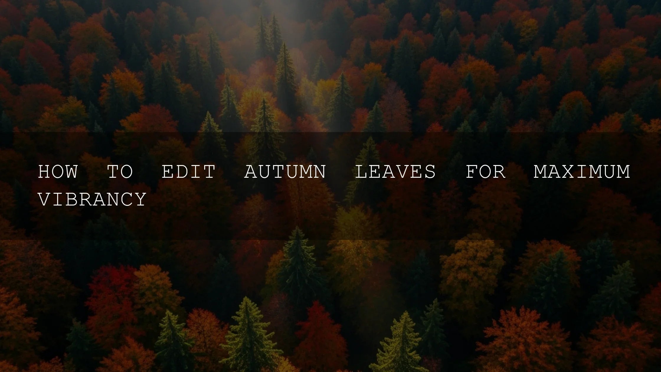Unleash the Autumn Colors: Your Comprehensive Guide to Editing Vibrant Fall Leaves - AAA Presets