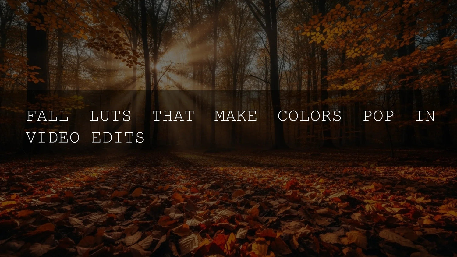Unlock the Magic of Autumn: Fall LUTs That Make Your Video Colors Truly Pop! - AAA Presets