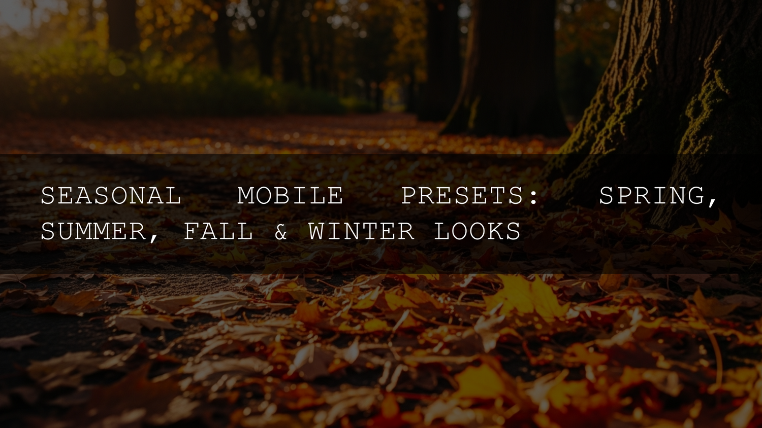 Unlock the Seasons: Your Ultimate Guide to Stunning Seasonal Mobile Presets for Spring, Summer, Fall & Winter