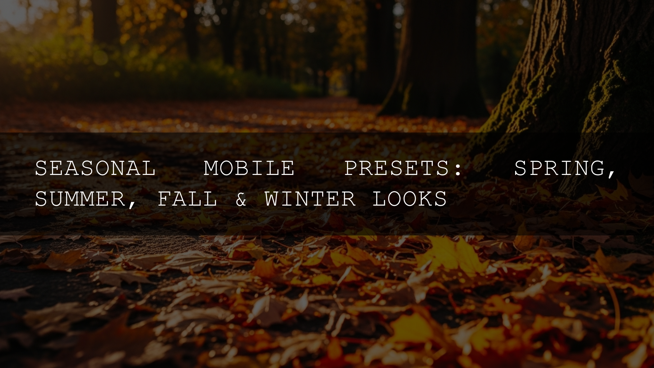 Unlock the Seasons: Your Ultimate Guide to Stunning Seasonal Mobile Presets for Spring, Summer, Fall & Winter