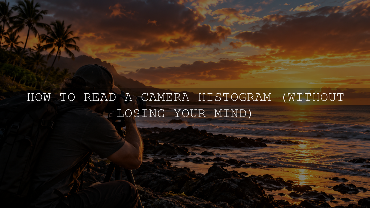 How to Read a Camera Histogram (Without Losing Your Mind)