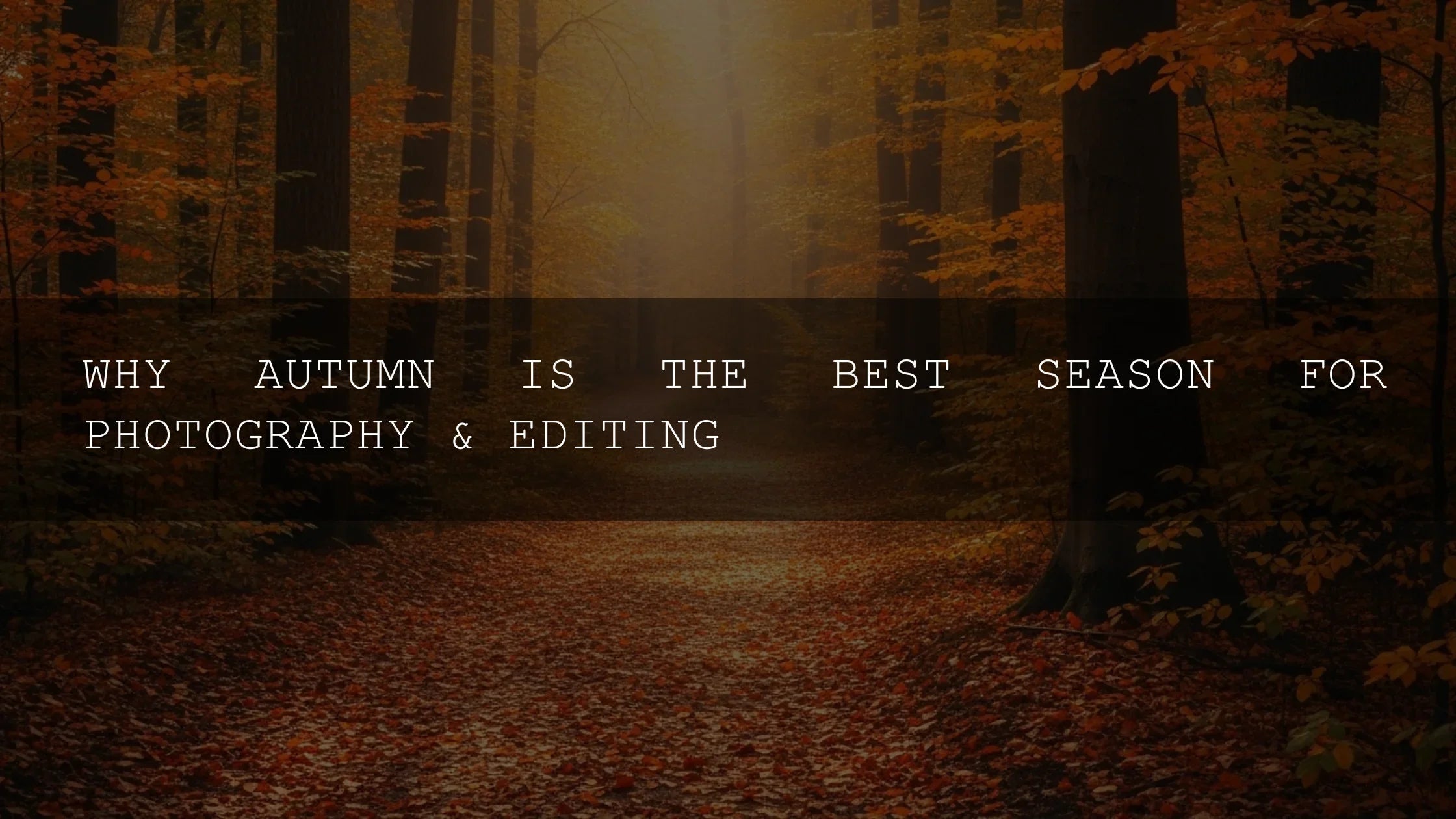 The Ultimate Guide: Why Autumn Reigns Supreme for Photographers & Editors - AAA Presets