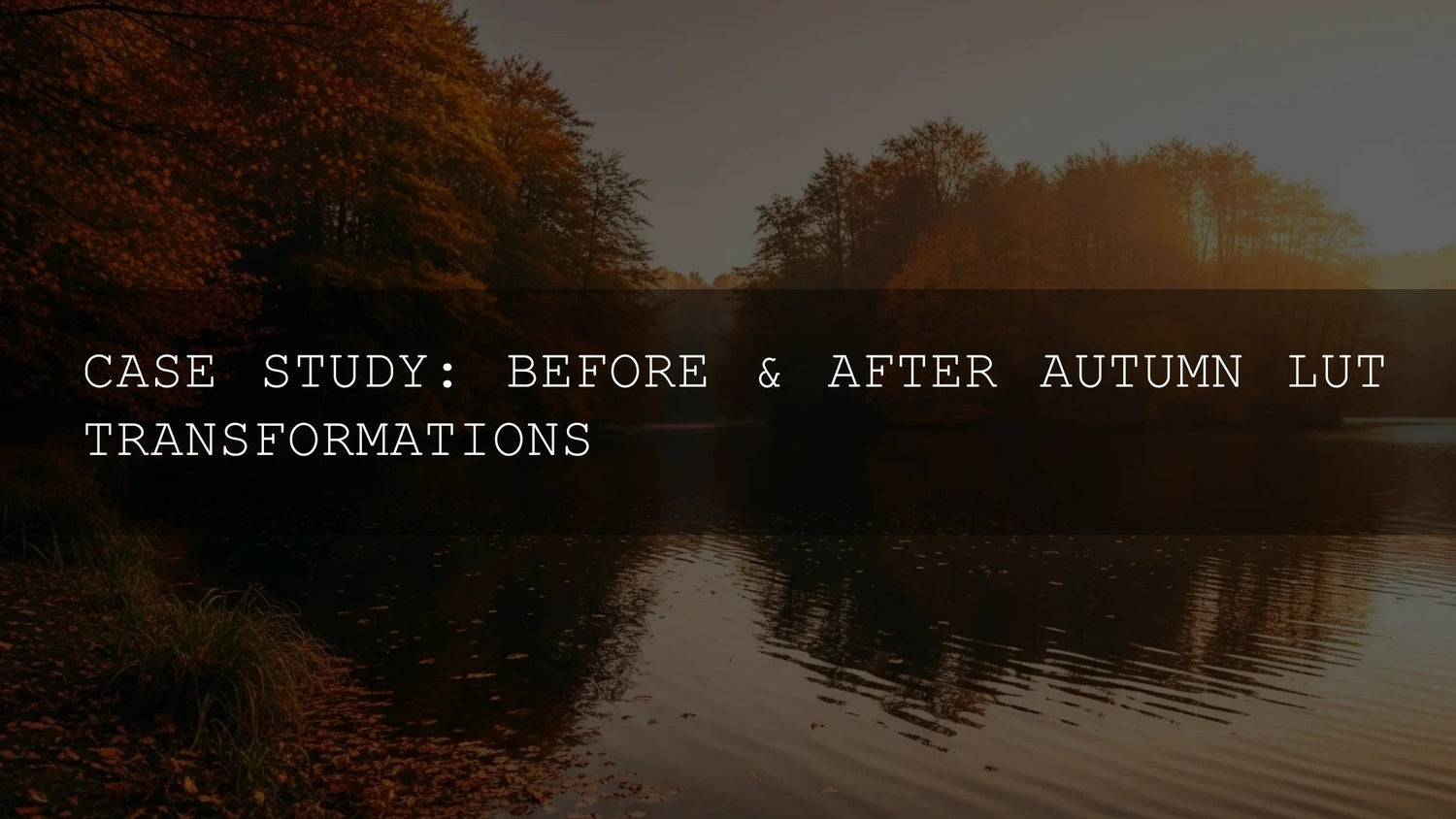Case Study: Before & After Autumn LUT Transformations - A Deep Dive Into Achieving Stunning Visuals - AAA Presets