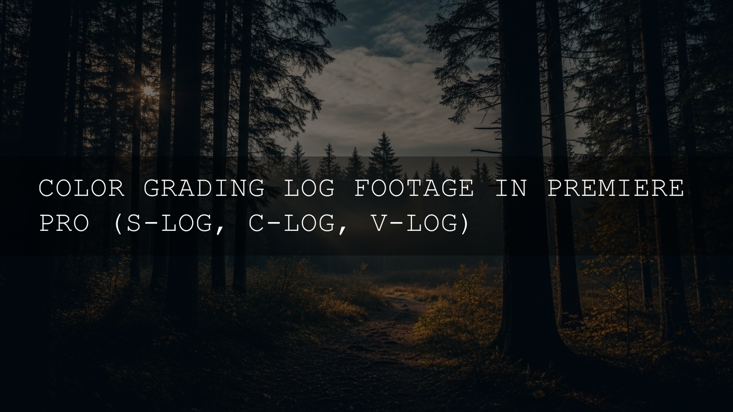 Unlocking Cinematic Potential: Your Ultimate Guide to Grading LOG Footage in Premiere Pro (S-Log, C-Log, V-Log) - AAA Presets