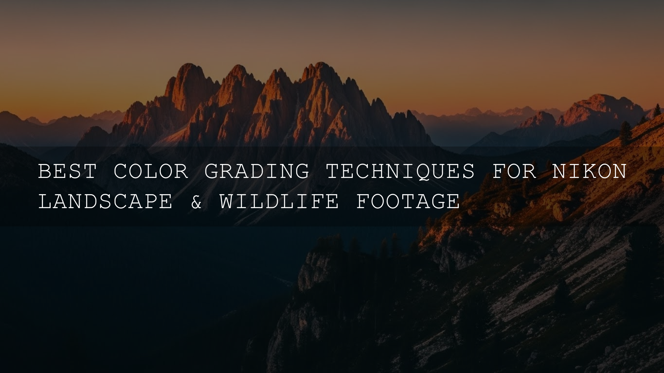 Mastering the Mood: Advanced Color Grading Techniques for Nikon Landscape & Wildlife Footage - AAA Presets