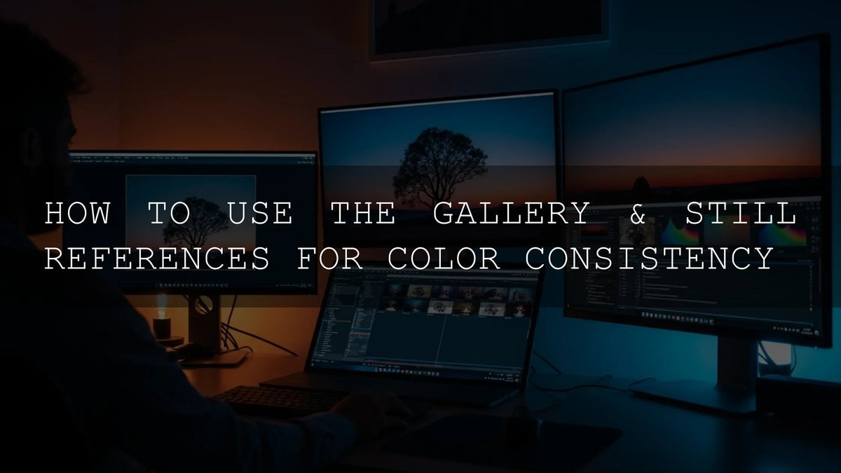 Mastering Visual Harmony: A Deep Dive into Gallery & Still References for Unwavering Color Consistency - AAA Presets