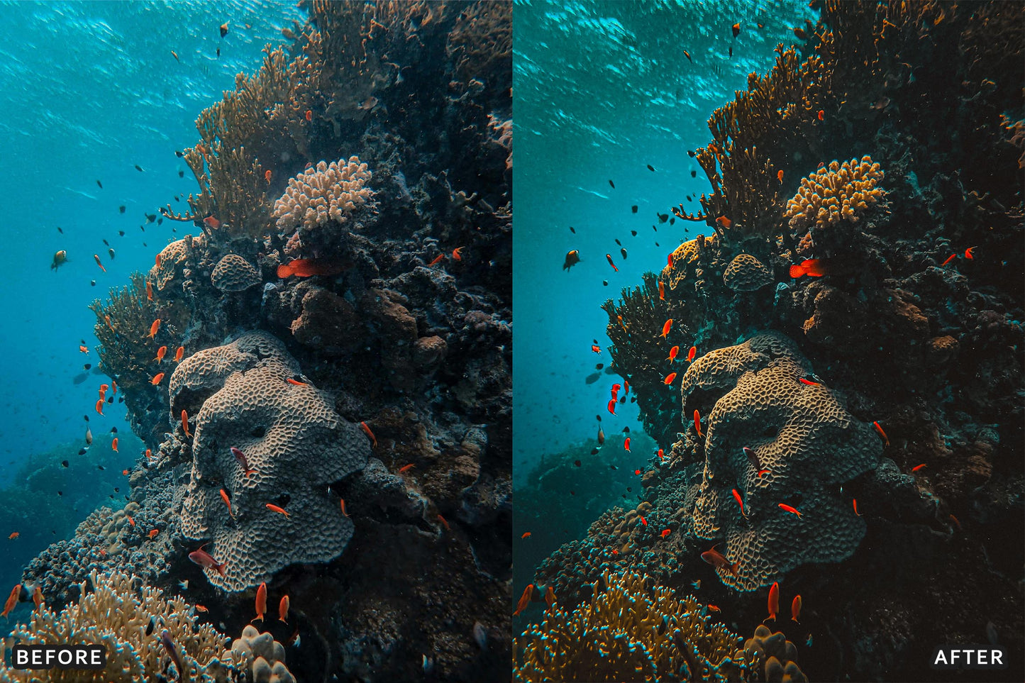 Cinematic Underwater Lightroom Presets Pack