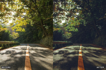 Deep Green Nature Lightroom Presets Pack