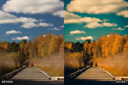 Cinematic Autumn Fall Lightroom Presets