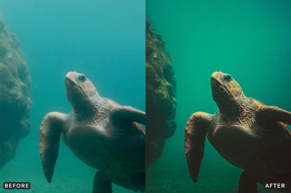 Cinematic Underwater Lightroom Presets Pack