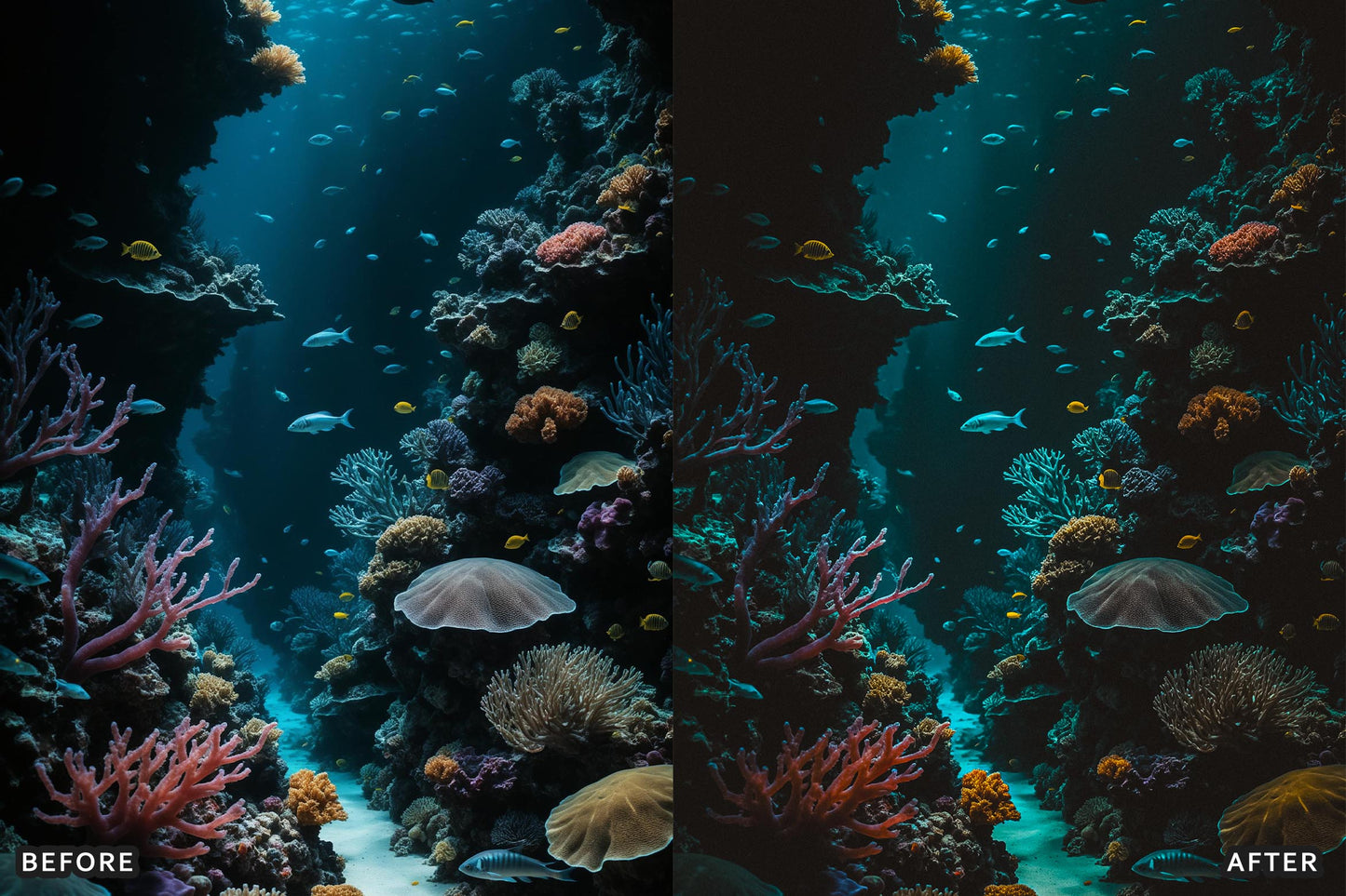 Cinematic Underwater Lightroom Presets Pack