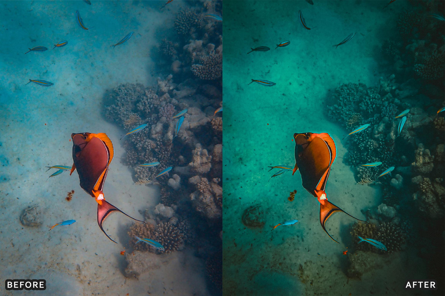 Cinematic Underwater Lightroom Presets Pack