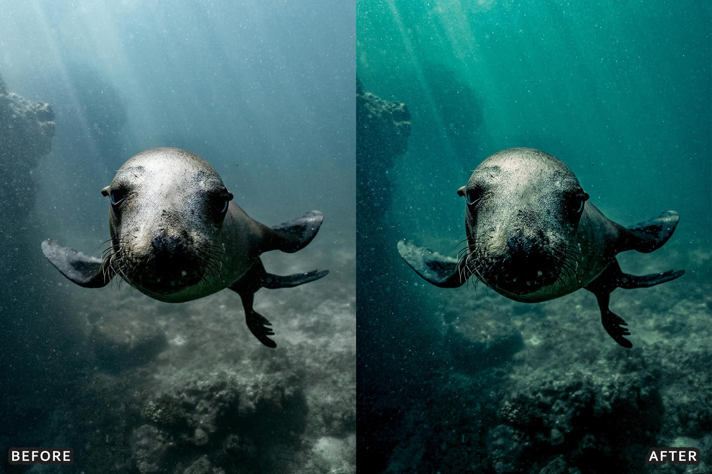 Cinematic Underwater Lightroom Presets Pack