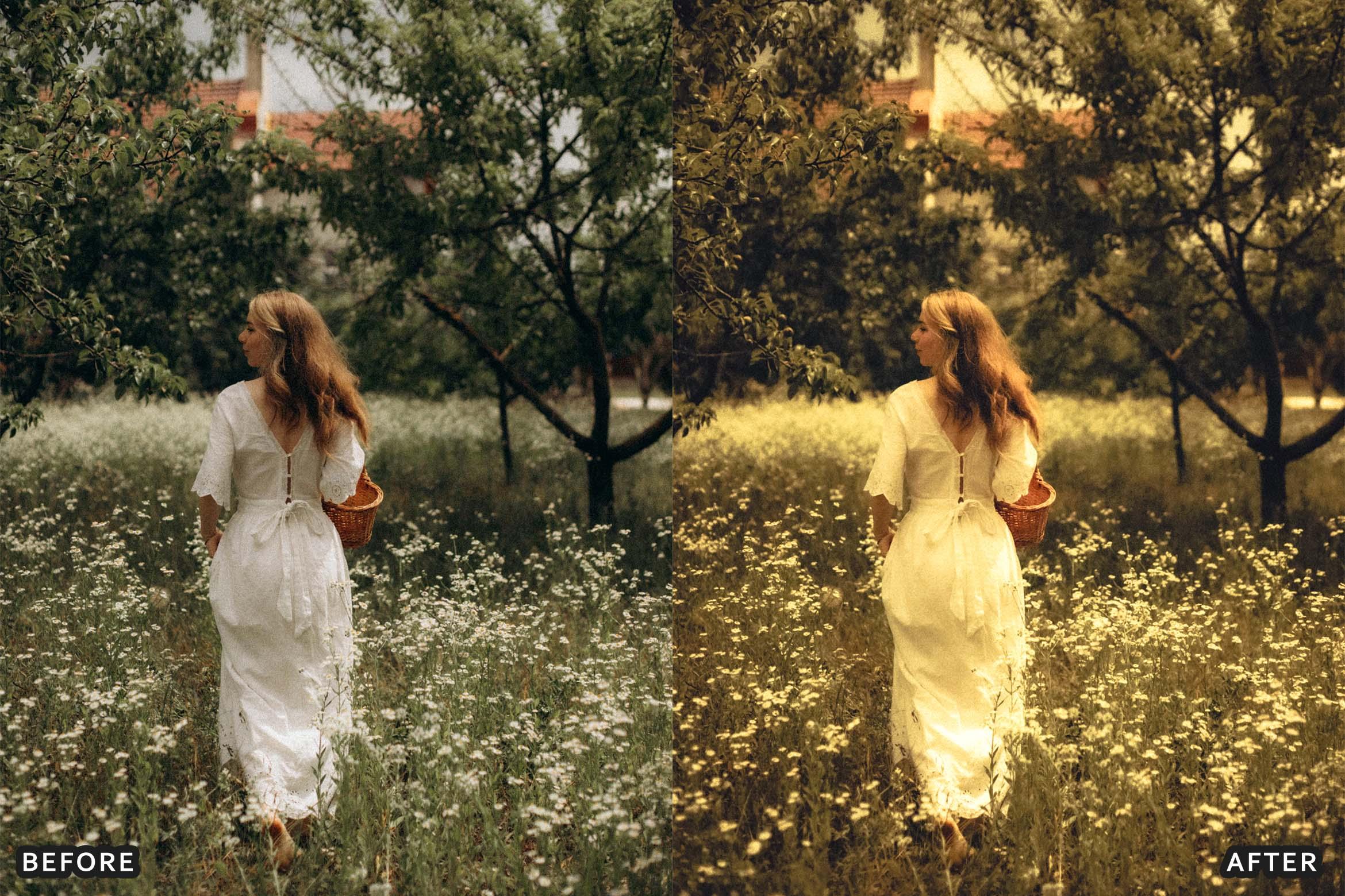 35mm Vintage Kodak Lightroom Presets - Lightroom Presets - by AAA Presets