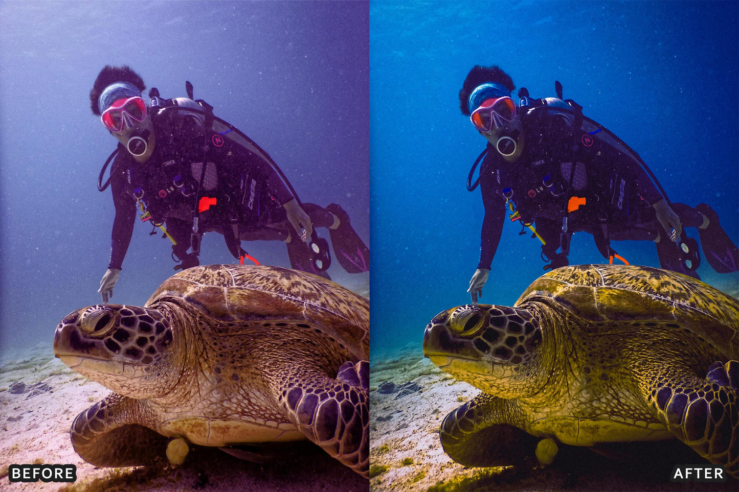 Scuba Diving Lightroom Presets Pack