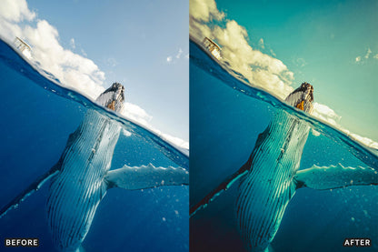 Cinematic Underwater Lightroom Presets Pack