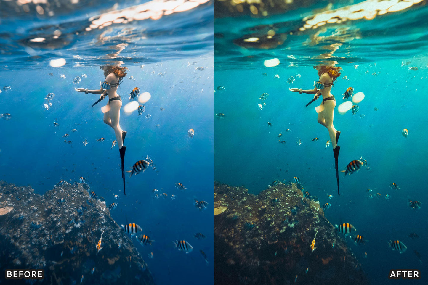 Scuba Diving Lightroom Presets Pack