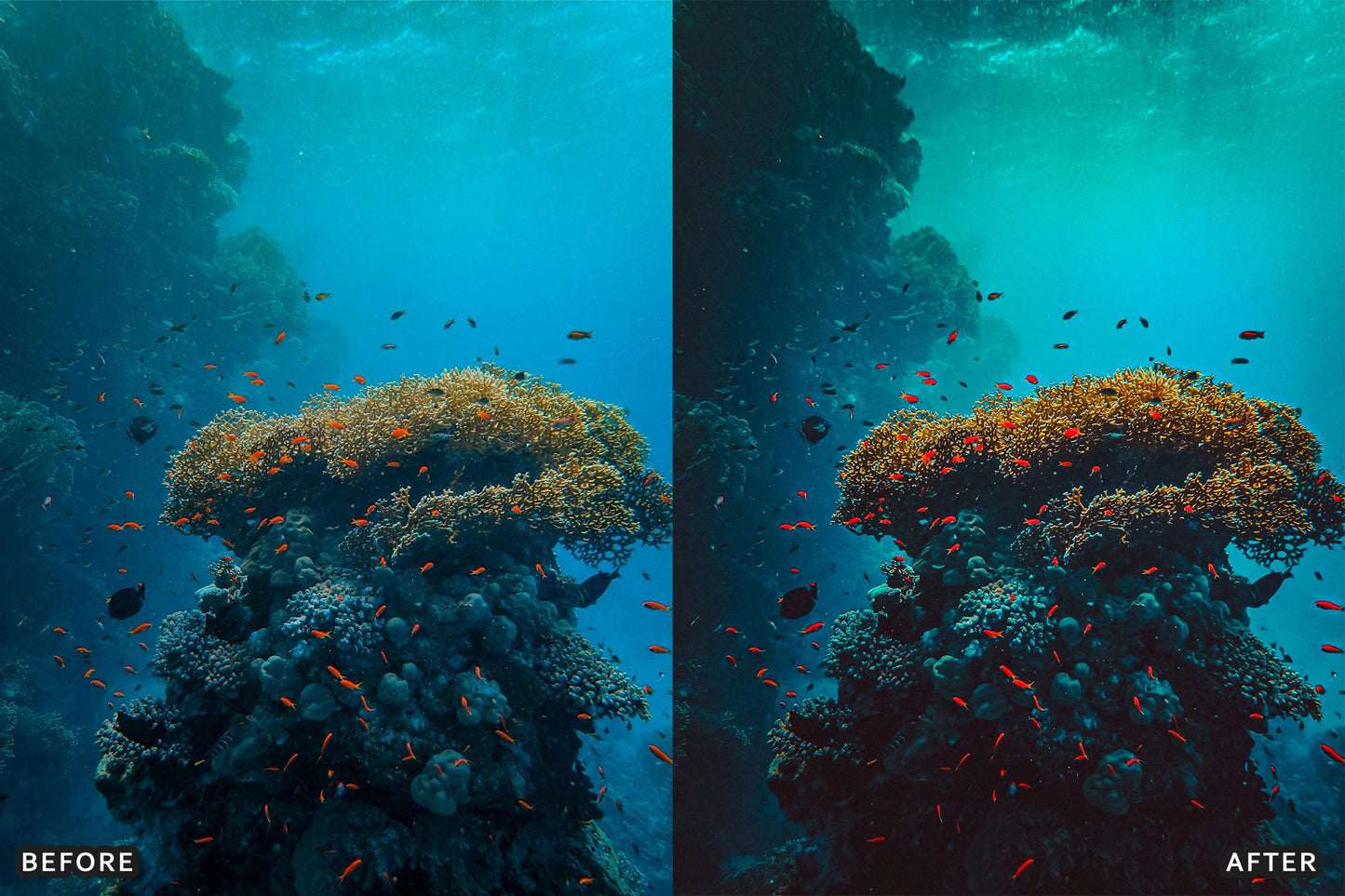 Cinematic Underwater Lightroom Presets Pack