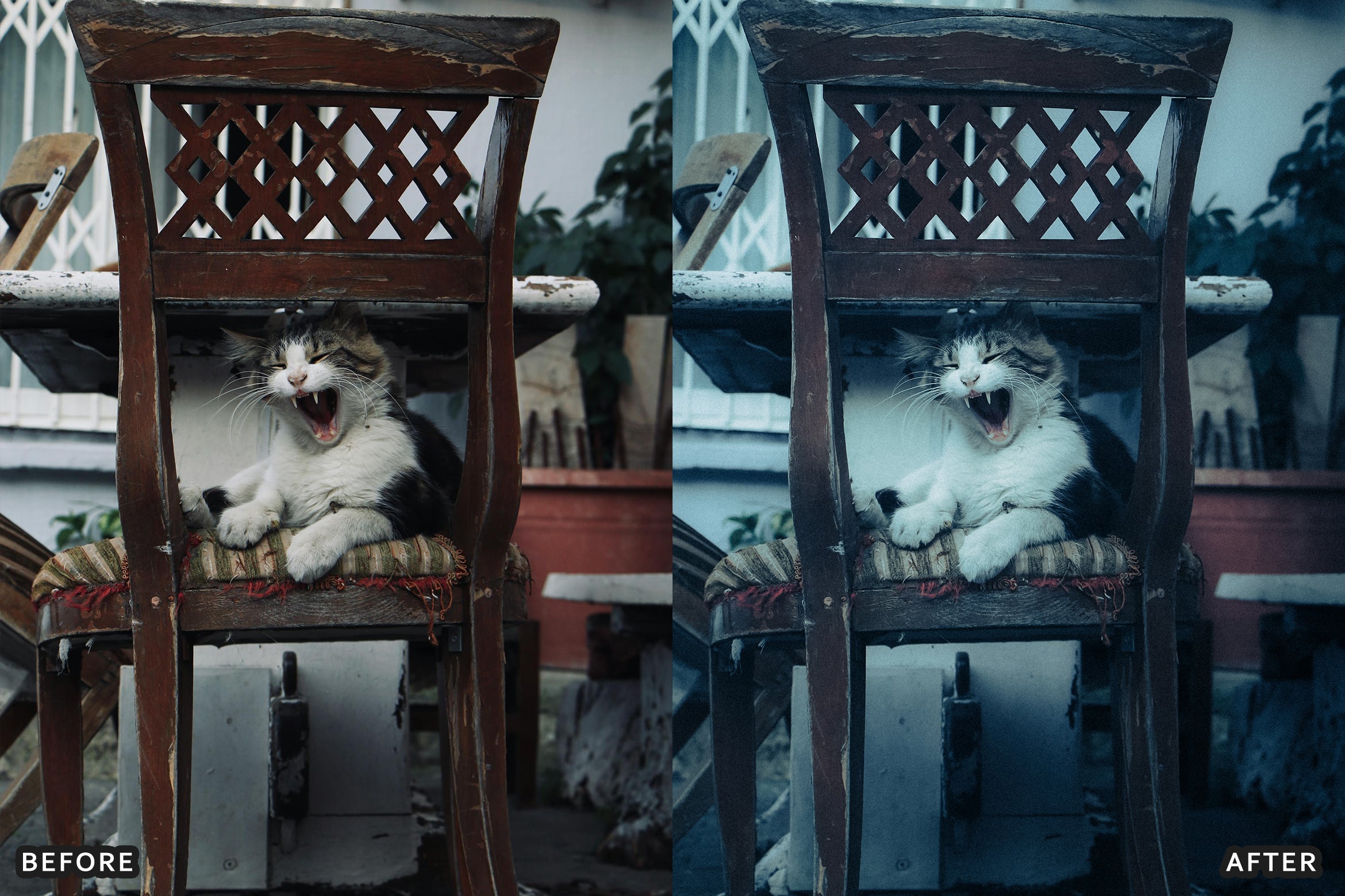 AI-Optimized 80s Vintage Pastel Tone Lightroom Presets - Lightroom Presets - by AAA Presets