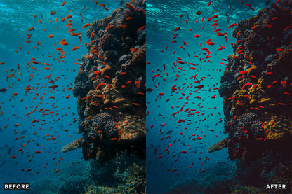 Cinematic Underwater Lightroom Presets Pack