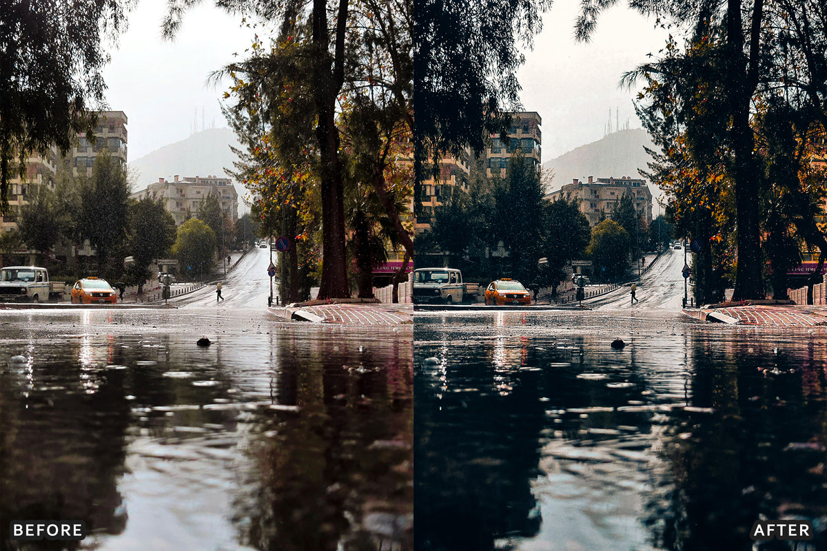 Fall Cinematic Rain Film Lightroom Presets before and after photo example 03