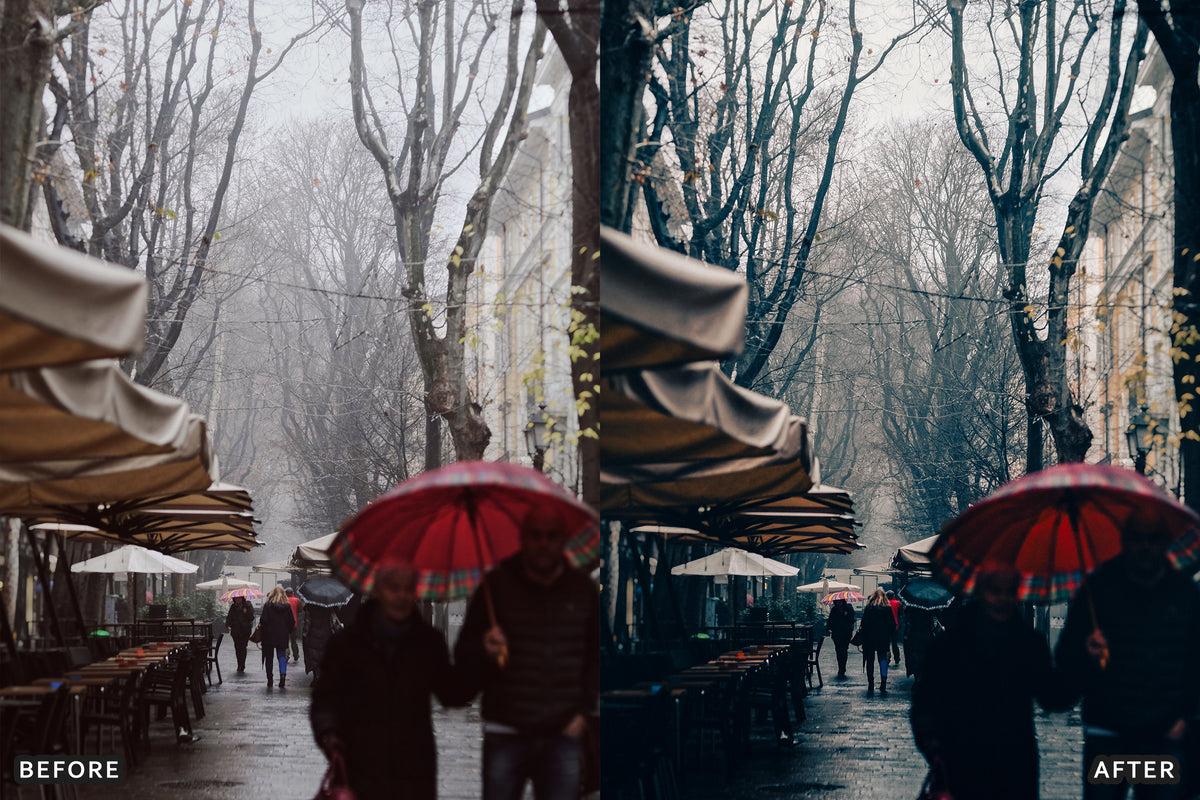 Fall Cinematic Rain Film Lightroom Presets before and after photo example 04