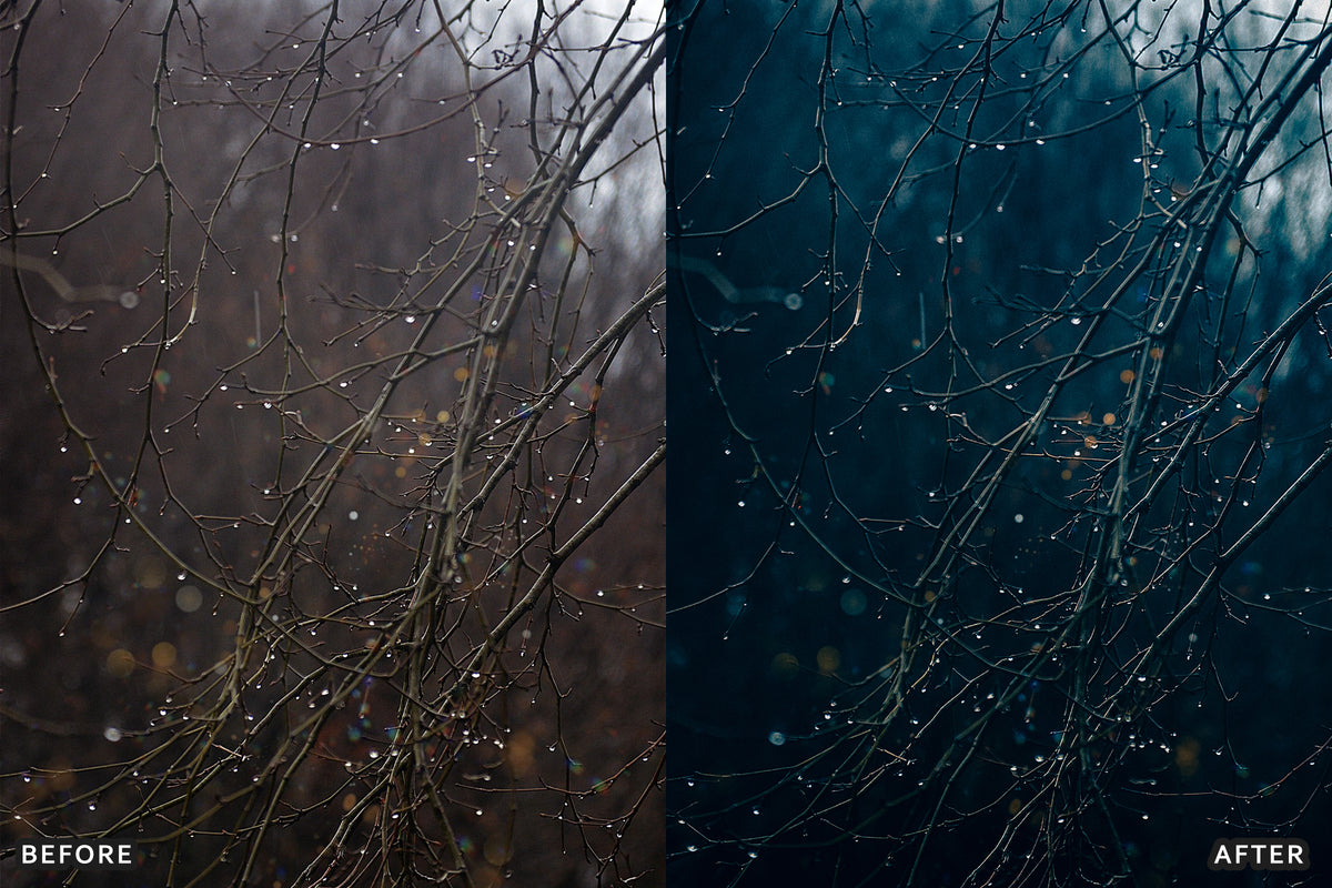 Fall Cinematic Rain Film Lightroom Presets before and after photo example 06
