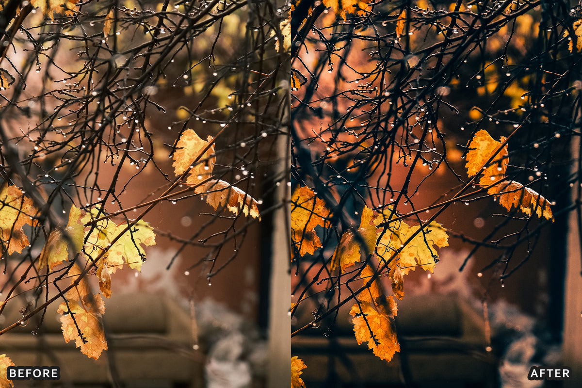 Fall Cinematic Rain Film Lightroom Presets before and after photo example 07