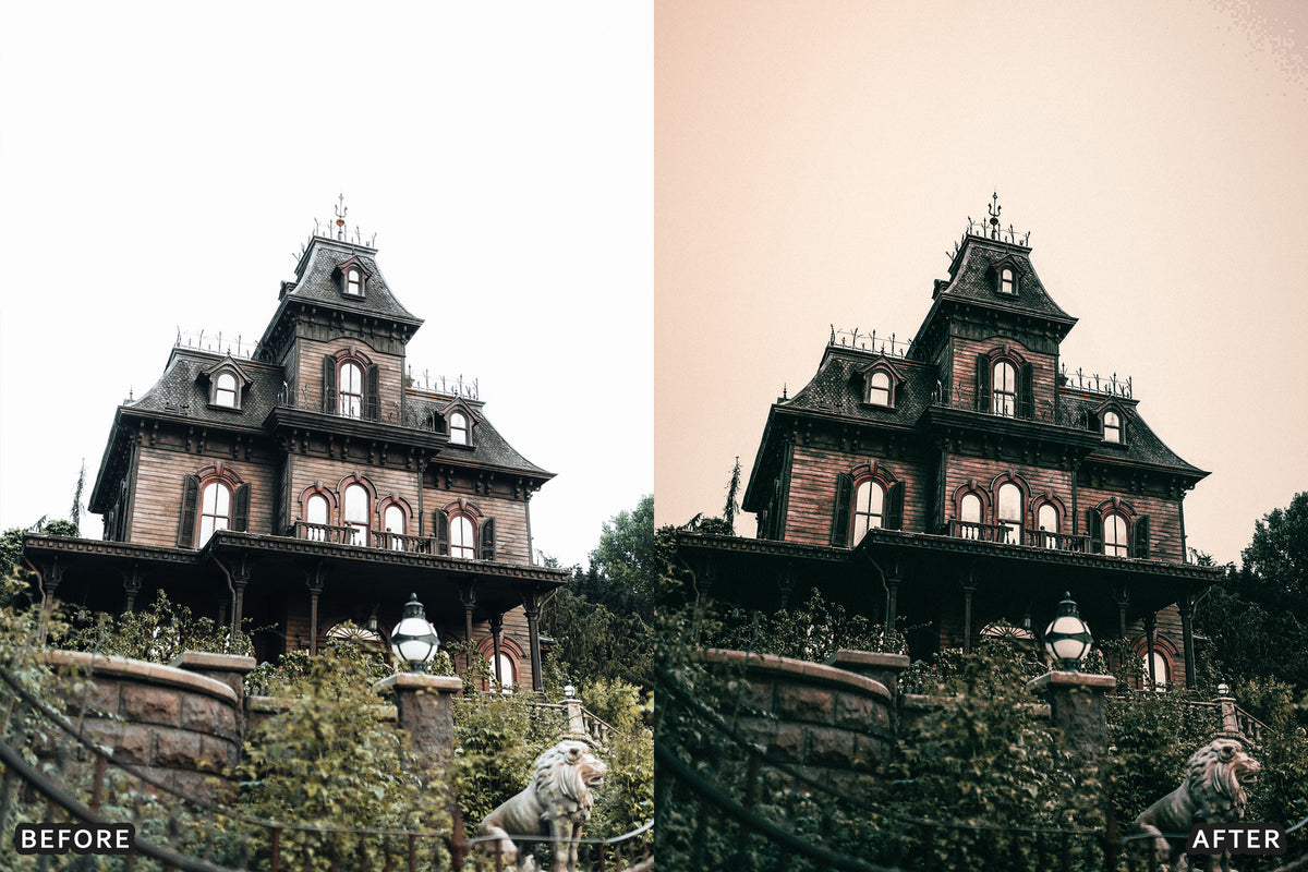 Gothic Manor Lightroom Presets before and after photo example 07