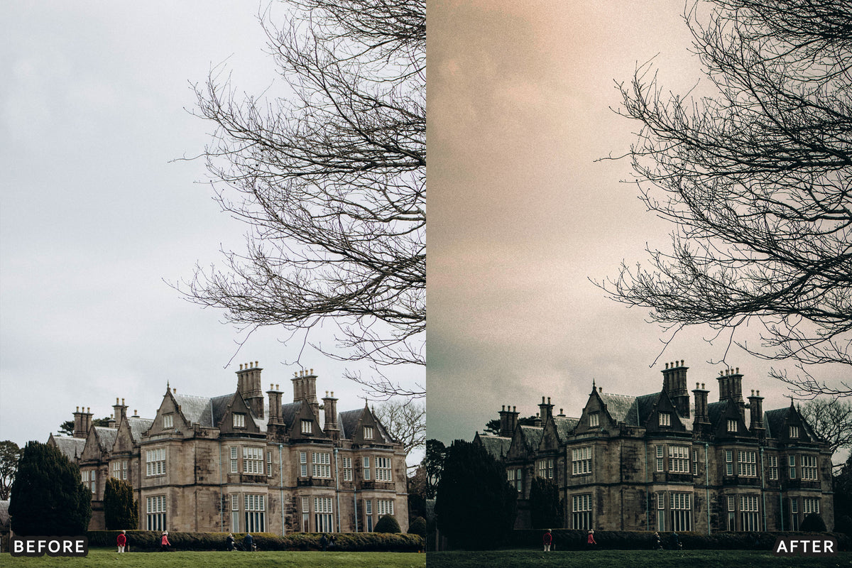 Gothic Manor Lightroom Presets before and after photo example 09
