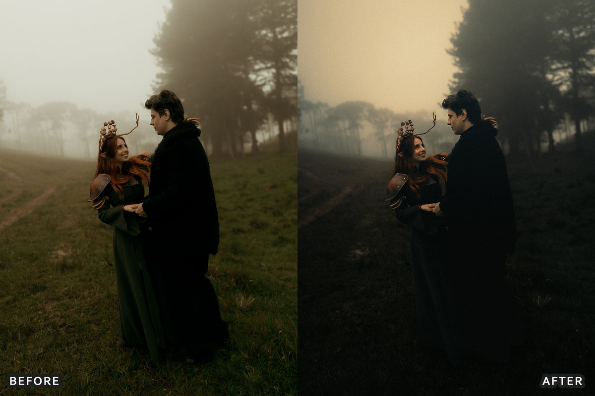 Gothic Romance Lightroom Presets before and after photo example 05