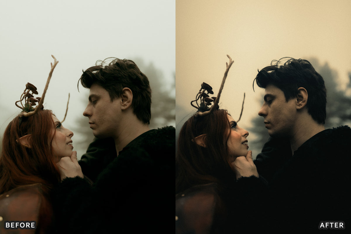 Gothic Romance Lightroom Presets before and after photo example 09