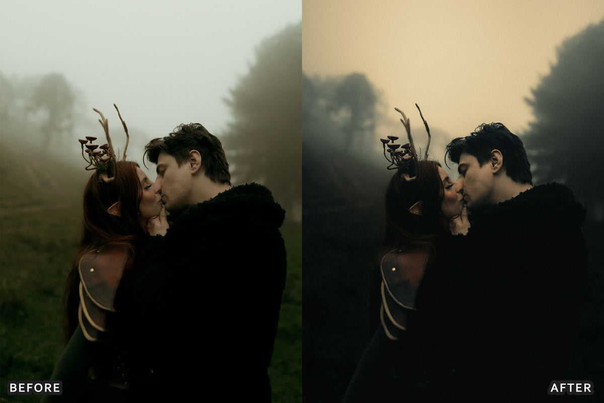 Gothic Romance Lightroom Presets before and after photo example 10