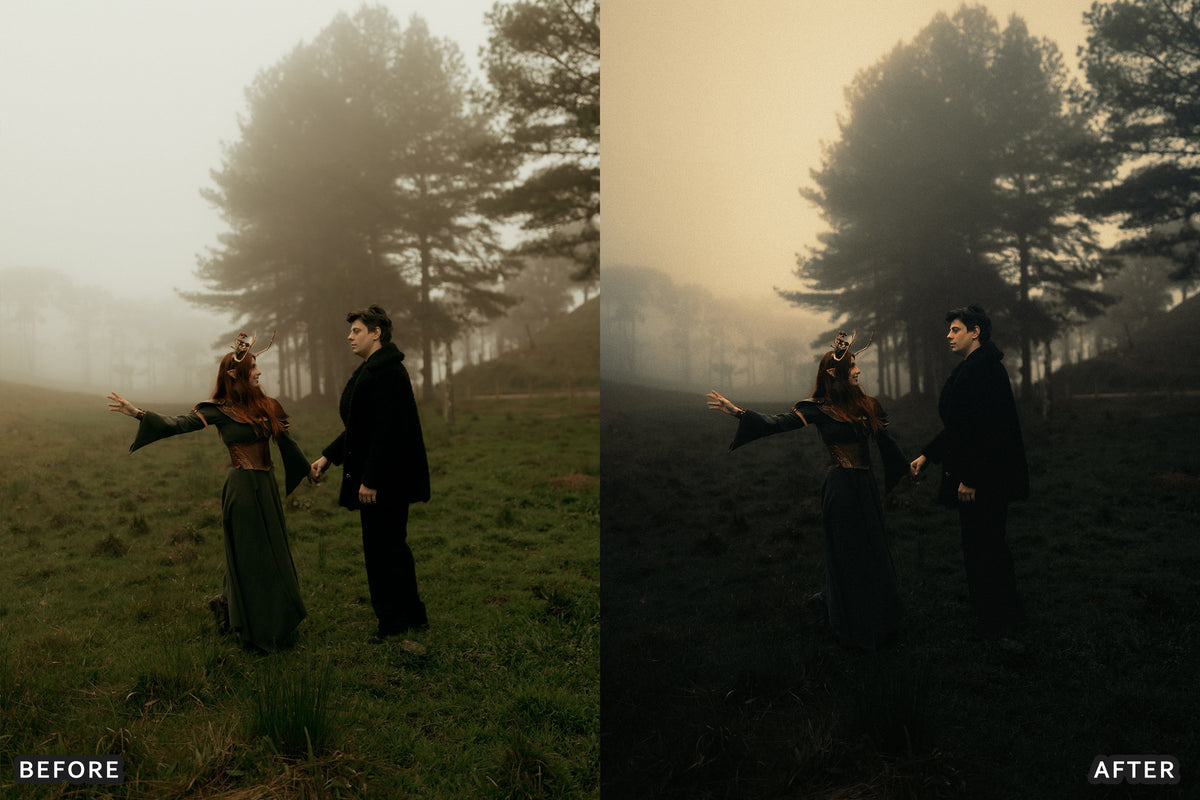 Gothic Romance Lightroom Presets before and after photo example 13