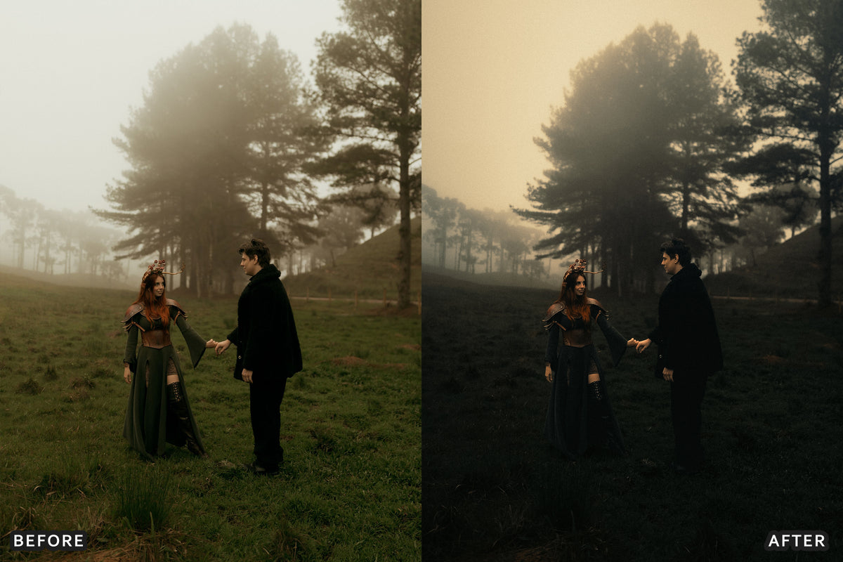 Gothic Romance Lightroom Presets before and after photo example 15