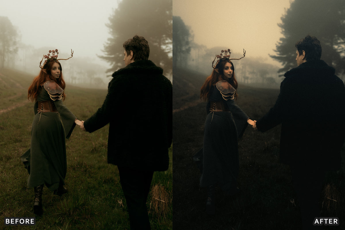 Gothic Romance Lightroom Presets before and after photo example 16